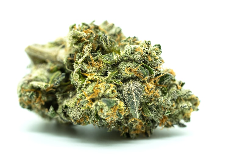 Cannabis plant with visible trichomes and fan leaves